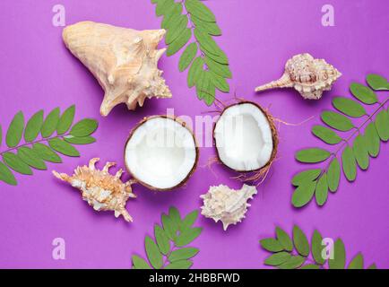 Due metà di cocco tritato su sfondo viola con foglie verdi e conchiglie Foto Stock