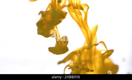 Primo piano per la diffusione di inchiostro colorato in acqua su sfondo bianco. Fumo astratto giallo e colorato che cade dall'alto verso il basso Foto Stock