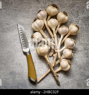 Teste di aglio e coltello su sfondo grigio primo piano Foto Stock