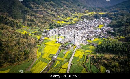 WUYUAN, CINA - 20 marzo 2019: Un'immagine aerea di campi di colza circondati da una città e colline a Wuyuan, Cina Foto Stock