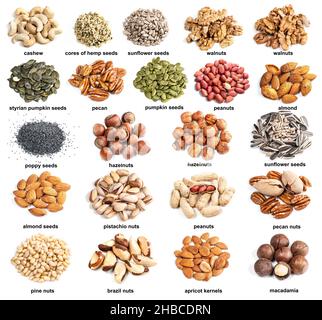 set di pile di noci commestibili variuos con nomi ritagliati su sfondo bianco Foto Stock