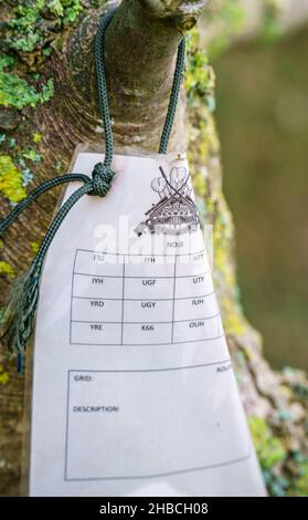 reggimento reale gallese, n. 8 documento di addestramento di plastica attaccato da un merletto ad un ramo dell'albero Foto Stock