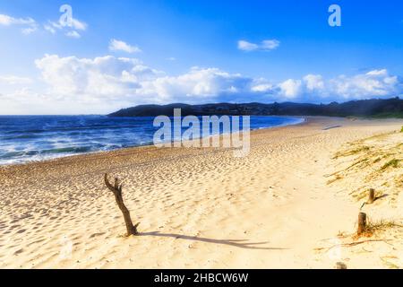 Bastone su sabbia pulita della spiaggia di Fingal al largo della costa del pacifico Australiano - Parco nazionale di Tomaree alla luce del mattino. Foto Stock