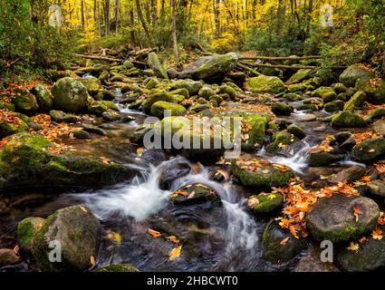 USA, Tennessee, Gatlinburg, Great Smoky Mountains National Park, che scorre lungo il Roaring Fork Motor Nature Trail Foto Stock