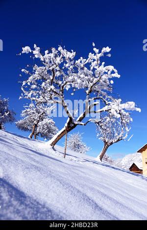 Francia, Savoia (73) Saint Bon Foto Stock