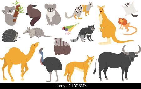 Un insieme di animali australiani in diverse pose per il design. Koala, platypus e canguro in stile semplice. Illustrazione vettoriale piatta su bianco. Illustrazione Vettoriale