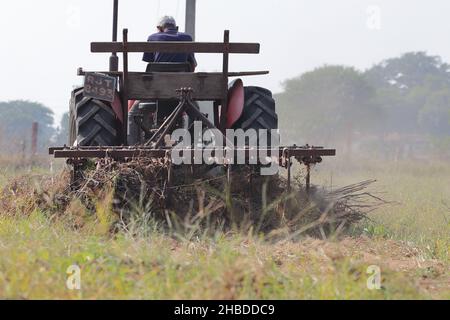 Pali Rajasthan, India - 3 novembre 2021. Coltivatore che ara il campo con l'aiuto del trattore e dell'aratro massey Foto Stock