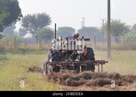 Pali Rajasthan, India - 3 novembre 2021. Coltivatore arando il campo in tempo di nebbia con l'aiuto di un aratro Foto Stock