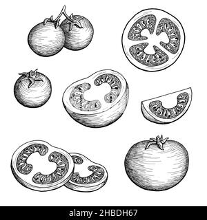 Grafico pomodoro nero bianco isolato disegno vettore Illustrazione Vettoriale