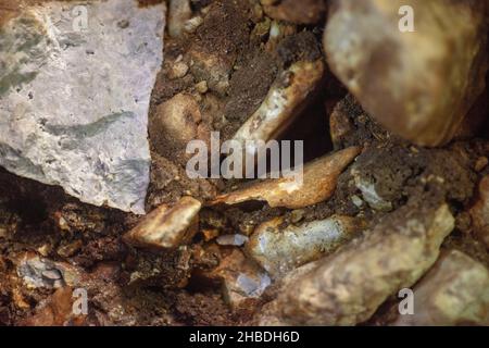 Divje Babe è un sito archeologico dove hanno trovato il più antico strumento musicale conosciuto al mondo. Foto Stock