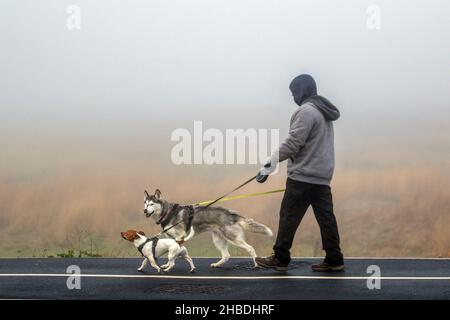 Southport, Merseyside. Meteo Regno Unito; 18th Dicembre, 2021. Densa nebbia dopo la notte più fredda dell'anno nella città costiera nord-occidentale. I residenti del resort si allenano al mattino sul lungomare in condizioni di nebbia fredda. Credit; MediaWordImages/AlamyLiveNews Foto Stock