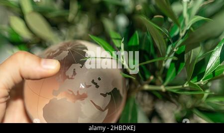 Una mano dell'uomo che tiene la sfera del globo di vetro Foto Stock