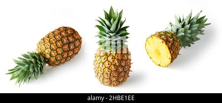 Set di ananas isolato su sfondo bianco Foto Stock