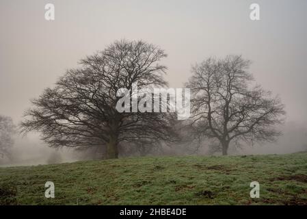 Misty Dicembre mattina vicino alla cava di sabbia di Arclid Silica a Cheshire Foto Stock