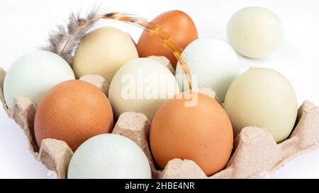 Uova di pollo biologiche in una scatola di cartone da vicino su sfondo bianco. Le uova colorate giacciono in un imballaggio con le cellule con una piuma dell'uccello. Lontano organico Foto Stock