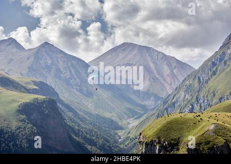 Le persone in parapendio volano su una gola di montagna con un fiume che scorre lungo il suo fondo. Un gregge di mucche si sgrana in un prato alpino. Tempo soleggiato con Foto Stock