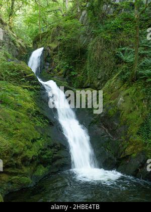 Le Cascate inferiori (Rhaeadr ISAF) le Cascate Dolgoch vicino ad Aberdovey, Gwynedd, Wales. Le Cascate Dolgoch sono una serie di tre cascate vicino a Tywyn a Gwynedd, M. Foto Stock