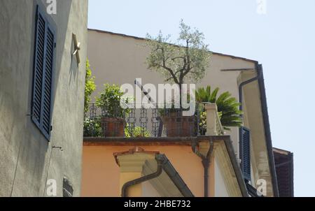 La città di Pistoia in Toscana. Balcone giardino. Foto Stock