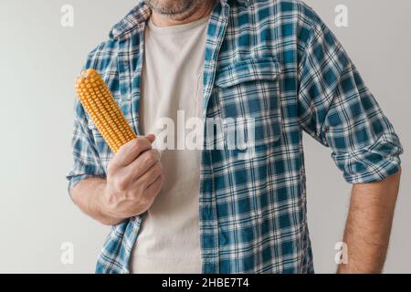 Coltivatore che tiene raccolto pannocchie di mais in mani, lavoratore agricolo irriconoscibile in camicia flanella con mais, fuoco selettivo Foto Stock