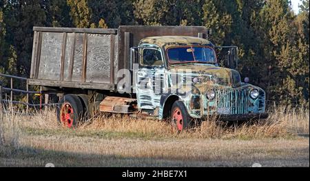 Ritratto di un camion Chevrolet del 1943, abbandonato in un campo di erbacce vicino alla città di Bend, Oregon. Foto Stock