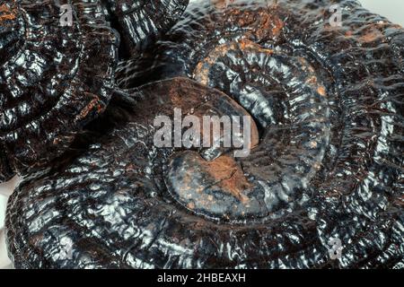 Ling Zhi erbe naturali cinesi o Reishi funghi, Ganoderma, macro foto in primo piano. Foto Stock