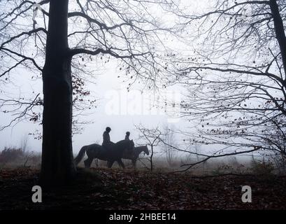 due persone a cavallo nella misteriosa foresta invernale vicino utrecht nei paesi bassi Foto Stock