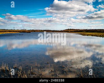 Le nuvole si riflettono nelle zone umide di Fairburn Ings, West Yorkshire, Inghilterra Foto Stock