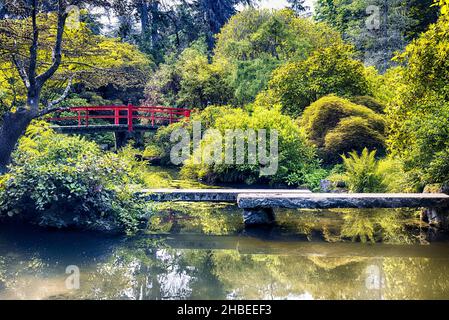 Vista di una sorgente con una passerella giapponese curva rossa, Kubota Gardens, South Seattle, Washington state Foto Stock