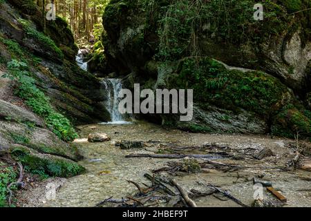 Il canyon delle 7 scale in Romania Foto Stock