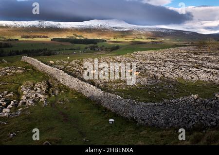 Vista verso la cima di Whernside ricoperta di neve sul marciapiede calcareo a Southerscale, Chapel-le-Dale, Yorkshire Dales National Park. Foto Stock