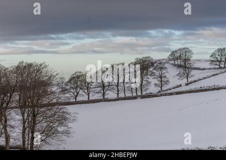 Campagna invernale nella neve al Tegg's Nose Country Park, Macclesfield, Cheshire, Regno Unito. Foto Stock