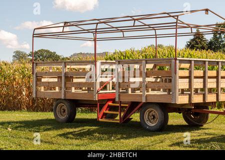 Carro in legno con telaio in metallo sul pianale del rimorchio. Parcheggiato di fronte al campo di mais. Foto Stock