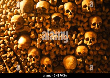 Ossa e scafi nelle catacombe di Parigi Foto Stock