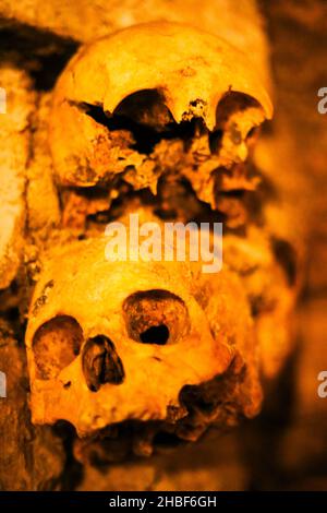 Ossa e scafi nelle catacombe di Parigi Foto Stock