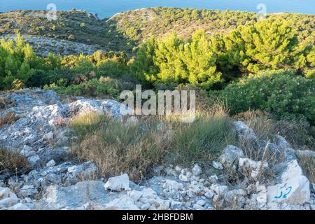 Vista sul mare da Lady of Loreto, Primosten, Dalmazia, Croazia Foto Stock