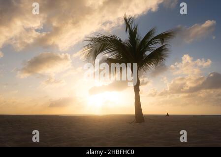 Un'unica palma insieme ad una persona in lontananza si staglia contro il sole d'oro alla spiaggia di Manchebo ad Aruba. Foto Stock