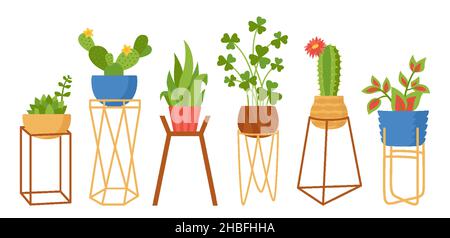 Casa pianta urbano giungla trendy set. Cartoon vaso piante collezione arredamento. Houseplants esotici flowerpot per interni. Casa botanica piante in fiore al coperto, cactus, monstera, aloe vettore Illustrazione Vettoriale