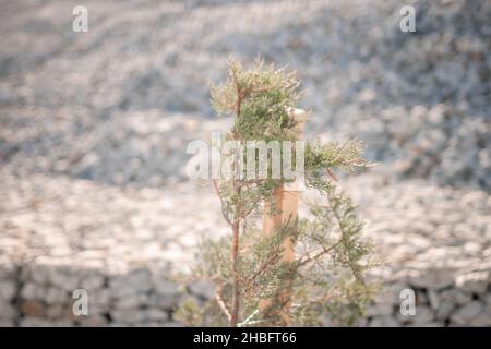 Pietre di granito dietro una griglia di metallo per rinforzare la pendenza. Pietre dietro il filo. Struttura grigia. Costruzione. Foto Stock