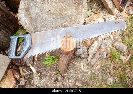 Sega per il taglio del legno. Preparazione di legna da ardere per l'inverno Foto Stock