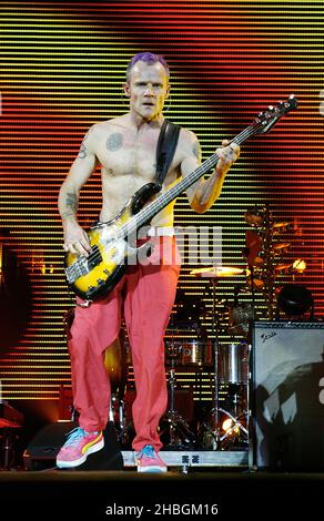 Flea dei Red Hot Chili Peppers che si esibiscono all'Arena O2 di Londra. Foto Stock