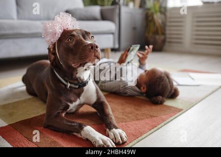 Ritratto di cane grande che indossa arco mentre si stesa sul pavimento con bambina sullo sfondo, spazio copia Foto Stock