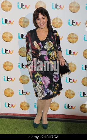 Arlene Phillips partecipa al British Animal Honors Awards 2013 a Elstree, Hertfordshire. Foto Stock