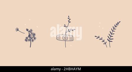 Set di graziosi tatuaggi botanici minimalisti. Dente di leone, un semplice ramoscello incollato con un gesso. Illustrazione della linea vettoriale. Illustrazione Vettoriale