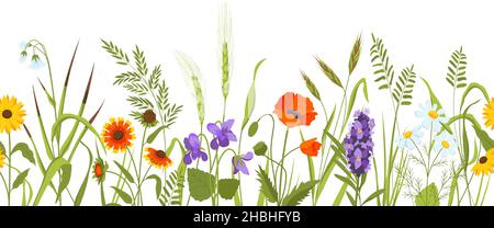 Prato selvatico con fiori ed erbe, primavera bordo botanico senza giunture. Campo di fiori selvatici con piante, orecchie e erba. Sfondo vettoriale floreale Illustrazione Vettoriale