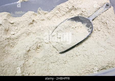 Concetto di cottura - primo piano della farina di grano con scoop Foto Stock