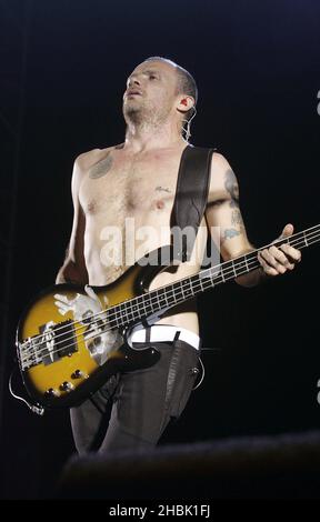 Il bassista Red Hot Chili Peppers, Flea, si esibisce presso la Roundhouse il 22 novembre 2006 a Londra. Foto Stock