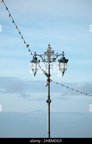 Lampada posta su Southsea Common Foto Stock