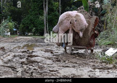 Selangor, Malesia. 20th Dic 2021. Un orsacchiotto è collocato su mobili danneggiati dall'acqua a Hulu Langat, Selangor, dopo essere stato inondati da acque alluvionali a causa di pioggia incessante durante il fine settimana. (Credit Image: © Fuad Nizam/ZUMA Press Wire) Foto Stock