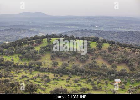 Sierra de San Pedro dehesas, Alburquerque, Estremadura, Spagna. Vista presa da San Blas Craig Foto Stock