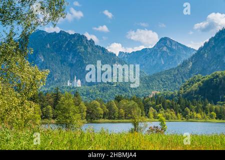 Germania, bellissimo paesaggio naturale di montagne e foreste che circondano schwansee lago acqua vicino al castello schwangau e neuschwanstein in baviera Foto Stock